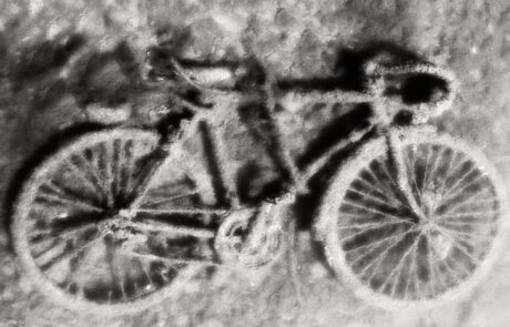 CYCLE photographie de Bruno D'ALIMONTE