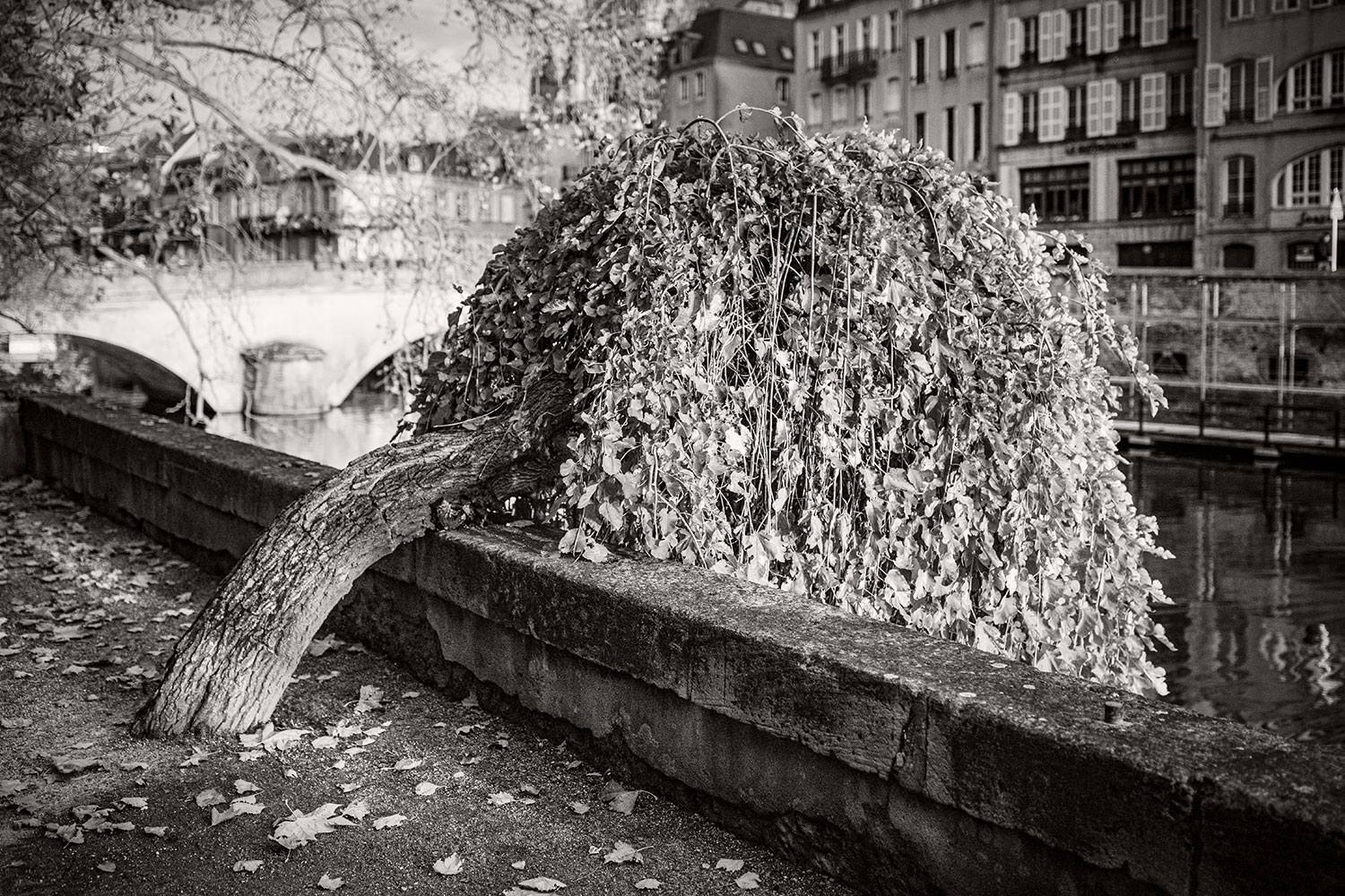 Photographie issue de la série SEPIA IMAGINARIUM de Bruno D'ALIMONTE