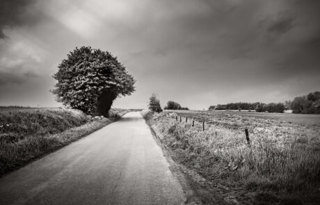 GLOUTON photographie de Bruno D'ALIMONTE