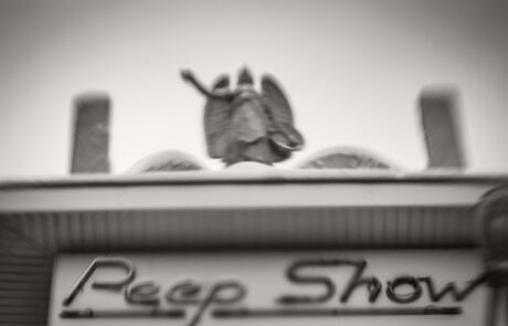 PEEP SHOW photographie de Bruno D'ALIMONTE