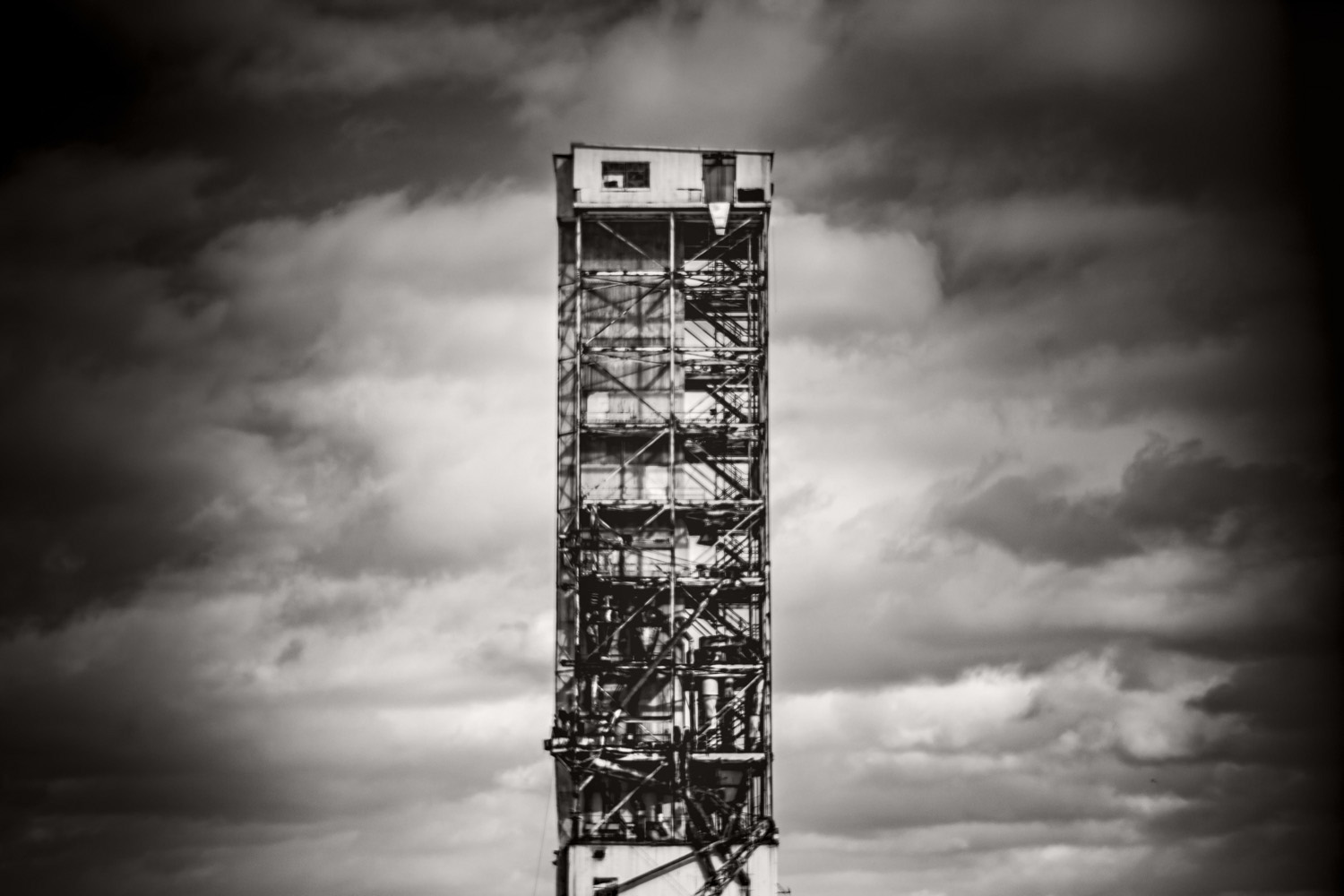 STOIQUE photographie de Bruno D'ALIMONTE