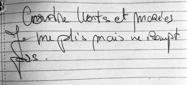 Contre vents et marées je me plie mais ne rompt pas
