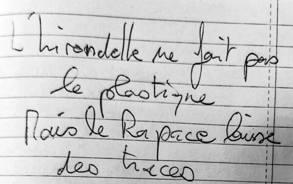 l'hirondelle ne fait pas le plastique mais le rapace laisse des traces